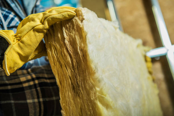 Best Insulation Repair Services  in Elkton, MD