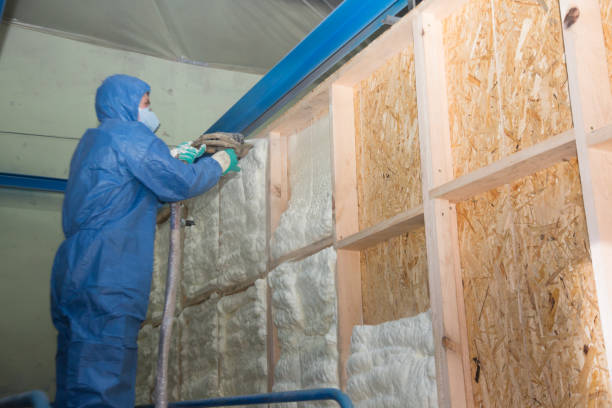 Insulation Repair Services in Elkton, MD